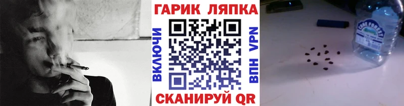 Меф Гусев