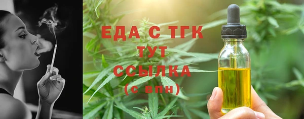 тгк Бородино