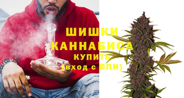 тгк Бородино