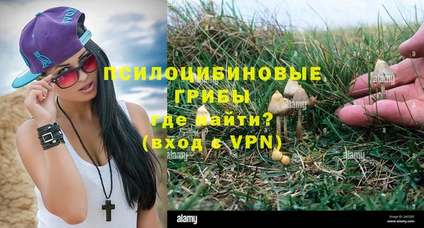 эйфоретик Богородицк